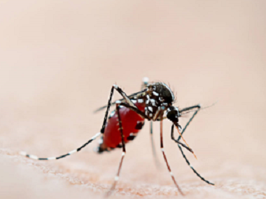 里水病媒生物消杀站消灭蚊虫灭蚊子的办法有哪些